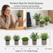 Artificial Potted Plants Faux Greenery in Cement Pots for Shelf, Bookshelf, Office or Home Decor, Small Decorative Fake Plants for Modern Indoor Display