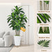 6FT Artificial Dracaena Tree with Tall White Planter, Floor Plant