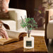 Reed Diffuser Sets- Eucalyptus & Moss Scented Diffuser with Sticks Home Fragrance Reed Diffuser for Bathroom Shelf Decor