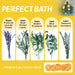5 Kinds Mixed Dried Eucalyptus Stems & Lavender Flowers Bundle for Shower