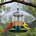 Metal Bird Feeders for Outdoors with 12” Weatherproof Dome, Green