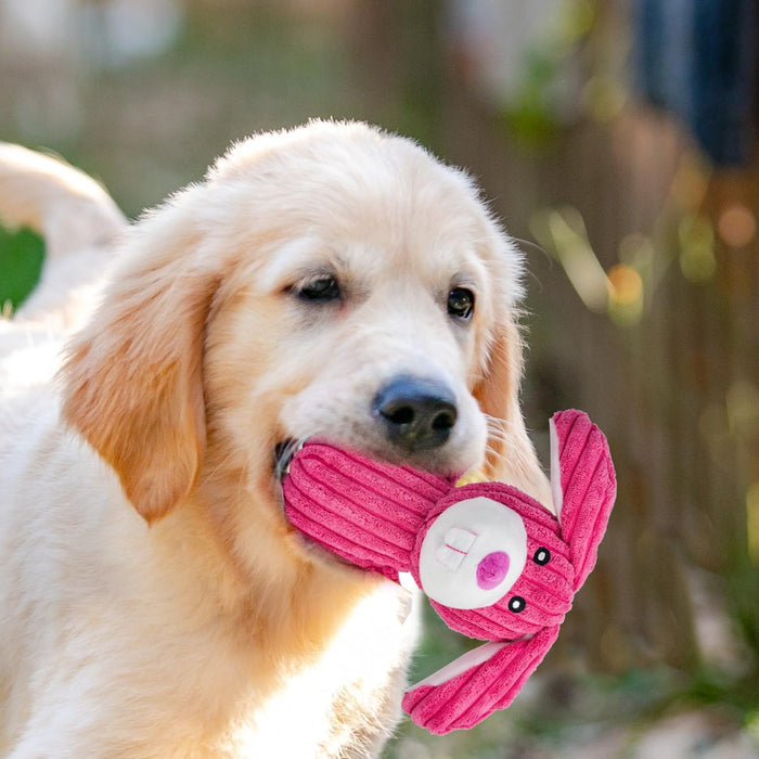 Dog Squeak Toys Puppy Toys, Tough Dog Toys for Aggressive Chewers