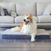 Washable Orthopedic Large Dog Bed with Removable Cover, Pet Bed Mat
