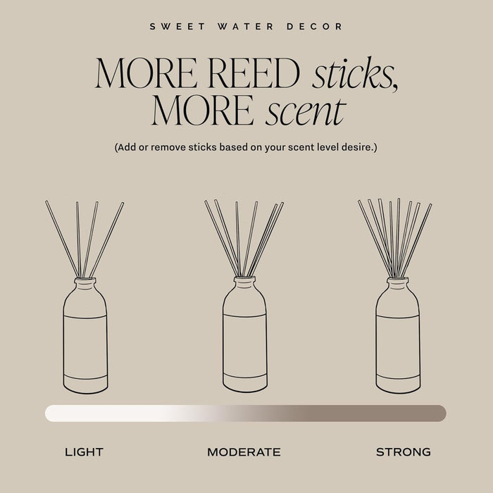 Salt & Sea Reed Diffuser Set - Sea Salt Citrus & Musk Amber Scent Diffuser - Reed Diffusers for Home with Long Lasting Fragrance - Non-Toxic Oil Reed Diffuser - Made in the USA