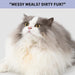 Cat Grooming Collar and Feeding Bib for Long Haired Cats, Anti-Stain Neck Band, Dog Ear Cover Snood for Cocker Spaniels