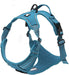 Adjustable No-Pull Dog Harness Reflective Vest, Blue, XS