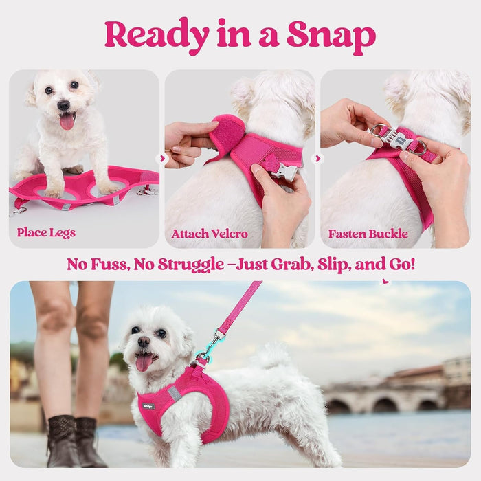 Dog Harness Small Sized and Leash Set, Step-in Puppy Pet Vest