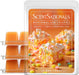 Marshmallow Crispies Scented Wax Melts 10oz (24 Cubes)