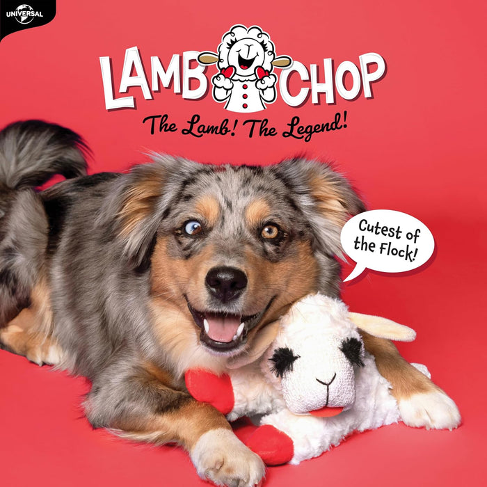 Lamb Chop Dog Plush Toy 10", Cream, 5 Squeakers