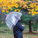 Adult Bubble Umbrella with Dome Canopy and Lightweight Wind and Rain Protection