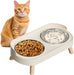 Elevated Cat Bowl, Raised Cat Food and Water Bowl Set for Indoor Cats, Splash Proof with 2 Stainless Steel Pet Food Bowl