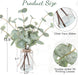 Artificial Eucalyptus Stems in Glass Vase with Faux Water, 13.5" Fake Plants for Home Decor, Coffee Table Centerpieces, Office, Bathroom & Farmhouse - Green Faux Plants Decorations