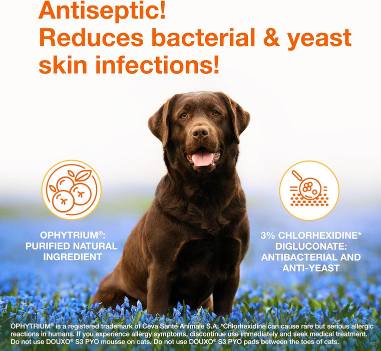 S3 PYO Medicated Dog Shampoo with 3% Chlorhexidine for Dogs – Antibacterial & Antiseptic Yeast Infection Treatment For Dogs & Cats, Clinically Proven, 6.7 fl oz