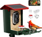 Smart Bird Feeder with Camera Solar Powered, 2K HD Video, AI Bird Species Identification, Instant Arrival Alerts, Weathe
