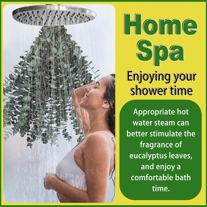 11 PCS Real Dried Eucalyptus Stem for Shower & Bathroom Decor