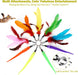 Cat Toys for Indoor Cats, Interactive Cat Toy 2PCS Retractable Wand Toy and 9PCS Cat Feather Toys Refills, Funny Kitten 
