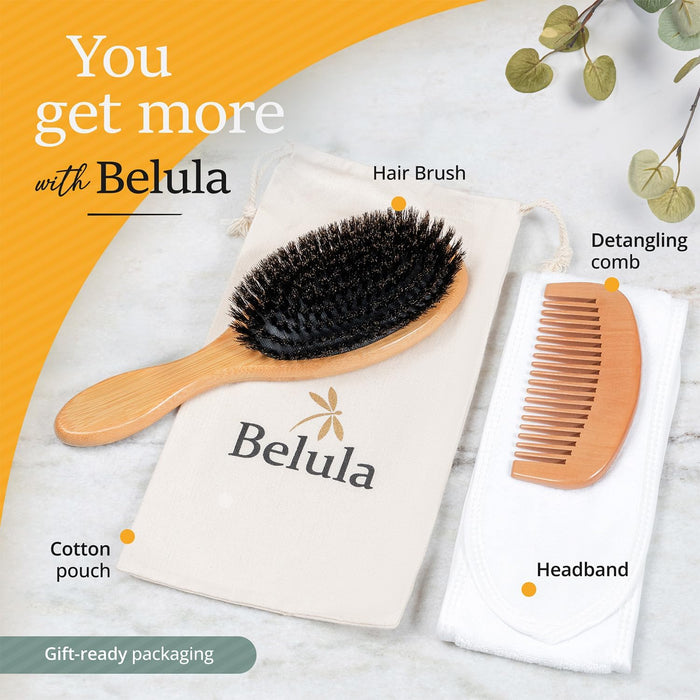 100% Boar Bristle Hair Brush Set, Medium, for Thin and Fine Hair