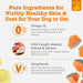 Salmon Oil for Dogs & Cats - Omega 3 for Dogs 8.5oz