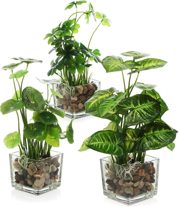 Set of 3 Small Assorted Artificial Plants in Clear Glass Pot