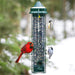 Classic Squirrel-proof Bird Feeder w/4 Feeding Ports, 2.4-pound Seed Capacity
