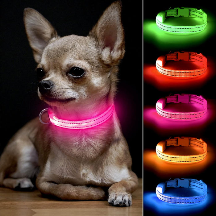 Light Up Dog Collar for Small Dogs & Cats (Pink, XS)