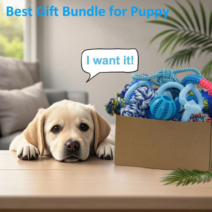 20 Pack Puppy Chew Toys, Dog Teething Toys for Puppies Small Dogs