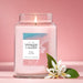 Pink Sands Scented Candle, 22oz Large Jar