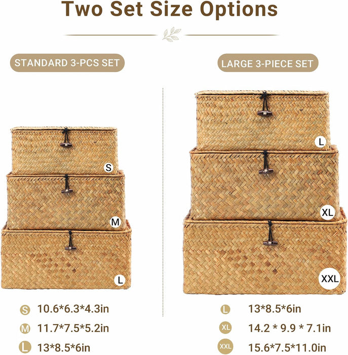 Wicker Storage Basket with Lid,Seagrass Shelf Basket Set of 3,Nautral