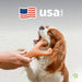 Wishbone Dog Chew Toy for Aggressive Chewers, Real Bacon, Medium