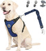 Dog Car Harness Seat Belt, Harness & Seatbelt with 2 in 1 Buckle