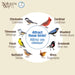Nature’s Way Crystal Window Seed Feeder with 4 Secure Suction Cup Mount, Clear 2-Cup Capacity Hanging Bird Feeder for Cl