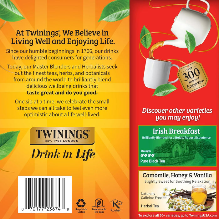 English Breakfast Black Tea Individually Wrapped Bags, 100 Count (Pack of 1), Smooth, Flavourful, and Robust, Caffeinated, Enjoy Hot or Iced, 100 Teabags