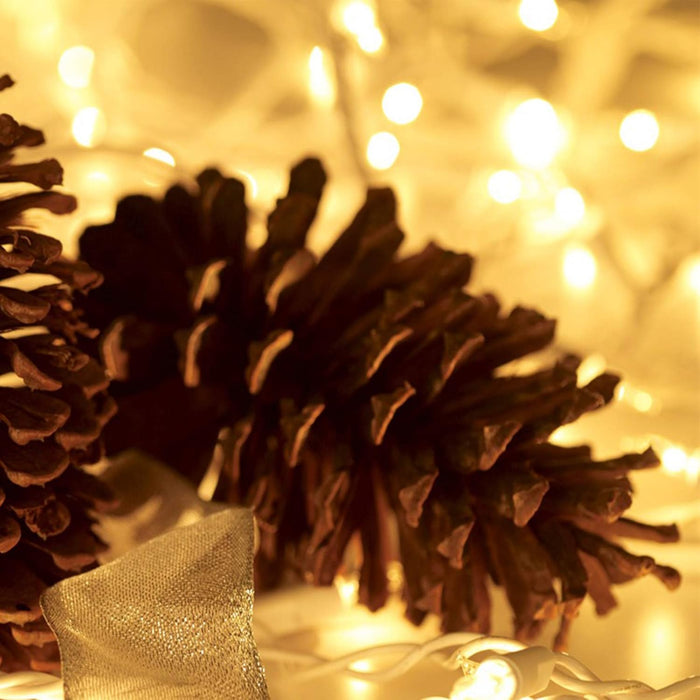 Christmas Lights 100 Count Mini Clear Lights 21ft White Wire Christmas Tree String Lights Set for Outdoor Indoor Christm