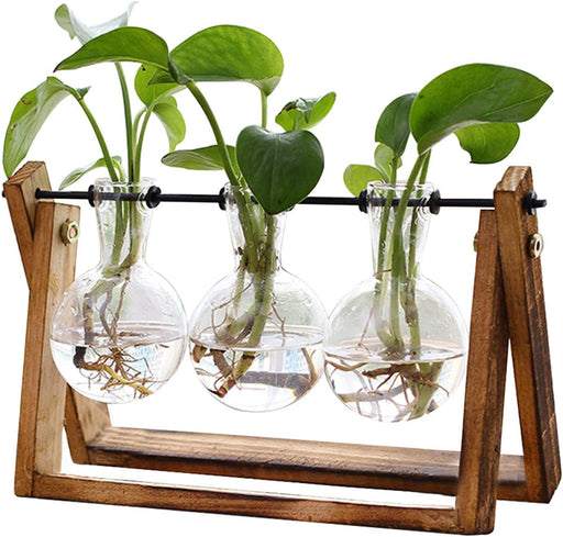 Plant Terrarium with Wooden Stand, Air Planter Bulb Glass Vase Metal Swivel Holder Retro Tabletop for Hydroponics Home G