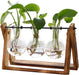 Plant Terrarium with Wooden Stand, Air Planter Bulb Glass Vase Metal Swivel Holder Retro Tabletop for Hydroponics Home G