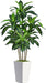 6FT Artificial Dracaena Tree with Tall White Planter, Floor Plant