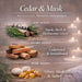 Cedarwood & White Musk Reed Diffuser, 3.34 Fl Oz