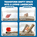 3 Pack Shrimp Cholla Wood, Aquarium Driftwood Decor for Fish Tank Setup, Shelter Hideout and Grazing Surface, Habitat En