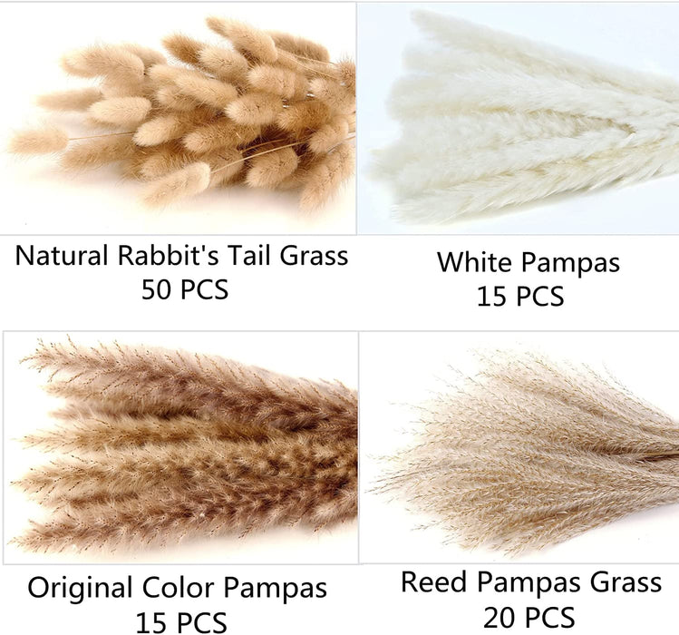 Dried Pampas Grass Decor, 100 Stems Pampas Grass Contains Bunny Tails Dried Flowers, Reed Grass Bouquet for Wedding Boho