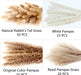 Dried Pampas Grass Decor, 100 Stems Pampas Grass Contains Bunny Tails Dried Flowers, Reed Grass Bouquet for Wedding Boho