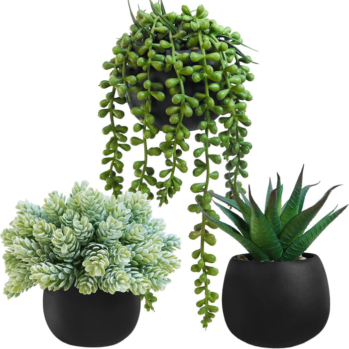 Set of 3 Artificial Succulent Plants in Black Concrete Pots Faux Aloe Hops String of Pearls Potted Plants Small Fake Pla