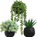 Set of 3 Artificial Succulent Plants in Black Concrete Pots Faux Aloe Hops String of Pearls Potted Plants Small Fake Pla
