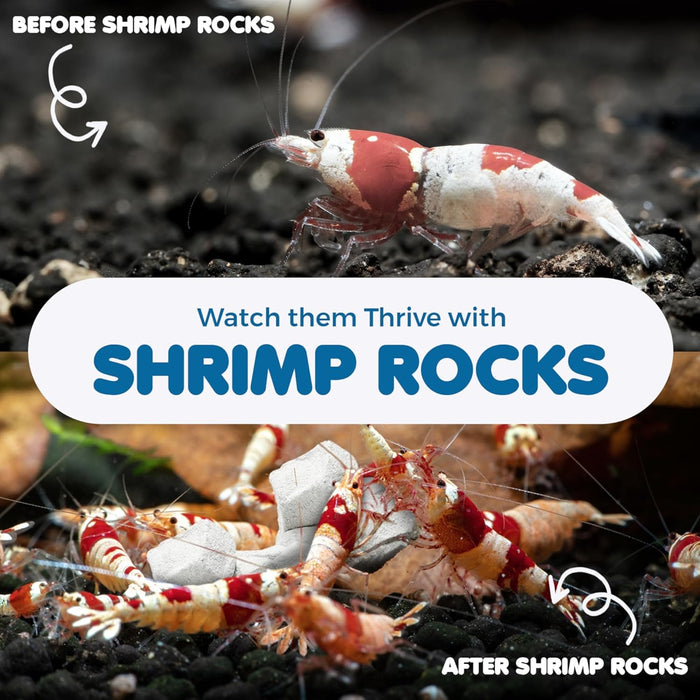 Shrimp Rocks, for Crayfish, Hermit Crab, Snails, Crystal Red, Amano, and Ghost Shrimps (60 Grams)