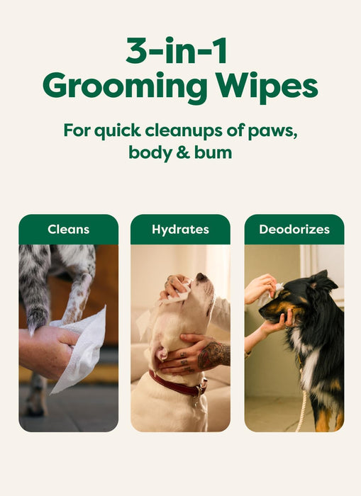Dog Wipes for Paws & Butt, Deodorizing, Lavender, 100ct