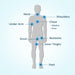Body Glide Original Anti Chafe Balm | No Chafing Stick | Prevent Arm, Chest, Butt, Thigh, Ball Chafing & Irritation | Tr