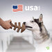 Fishbone Durable Dog Chew Toy for Aggressive Chewers, Medium