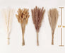 Dried Pampas Grass Decor, 100 Stems Pampas Grass Contains Bunny Tails Dried Flowers, Reed Grass Bouquet for Wedding Boho