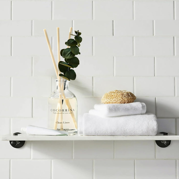 Reed Diffuser Set of 3 with Dried Eucalyptus for Home & Office