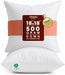 18x18 Pillow Inserts, White Throw Pillows for Couch, 2 Pack