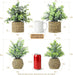 Small Fake Plants, 4 Pack Artificial Plants in Handwoven Seagrass Baskets